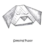 010 Sleeping Puppy 1