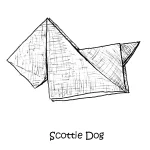 028 Scottie