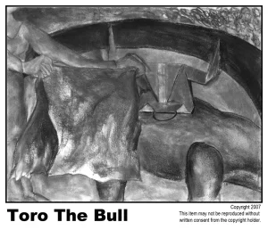 Toro The Bull