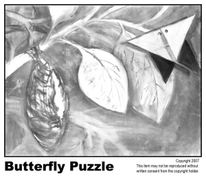 Switcharoo Butterfly Puzzle