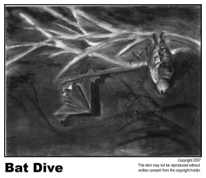 Bat Dive