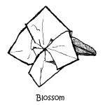 043 Blossom