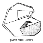 058 Swan And Cygnet