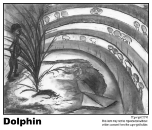 Dolphin