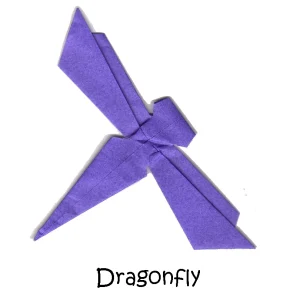 08 Dragonfly