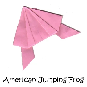 11 American Jumping Frog