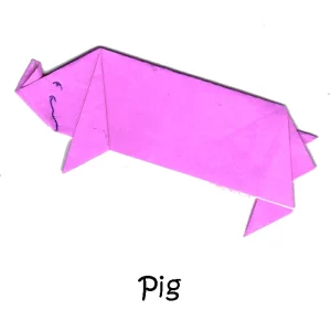 13 Pig