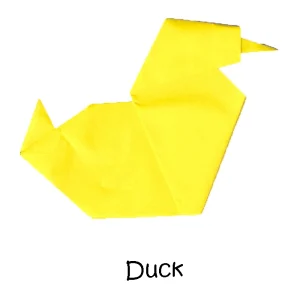 36 Duck