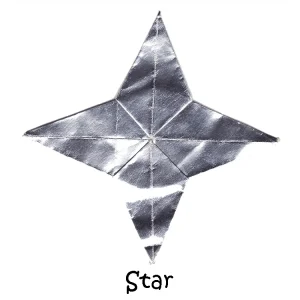 41 Star