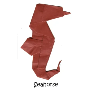 49 Seahorse