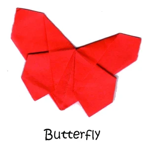 60 Butterfly