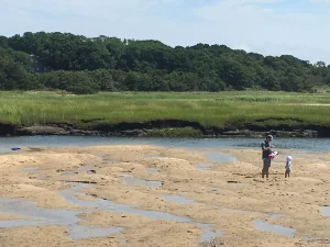 Beach Scene