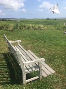 Cape Scene Bench