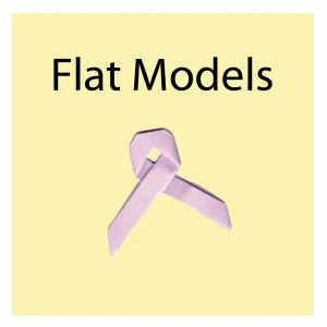 Flat Models