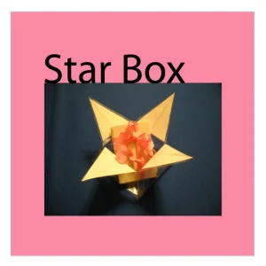 Origami Models - Star Box